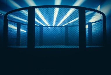 MMA kafesi Spotlar tarafından yaktı, karışık dövüş sanatları gece bile mücadele