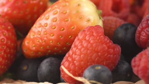 Close View Berries Selection Strawberries Raspberries Blueberries — Stock Video
