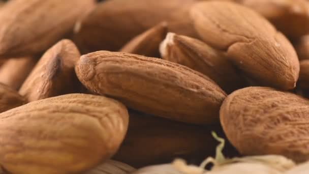 Macro Video Showcases Almond Kernels — Stock Video