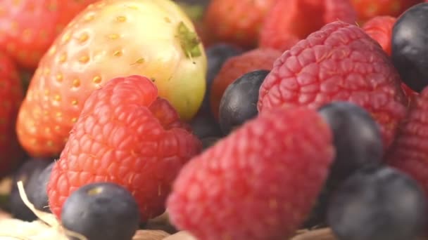 Van Dichtbij Bekijken Van Bessen Selectie Aardbeien Frambozen Bosbessen — Stockvideo