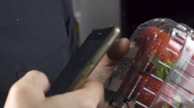 Böğürtlen seçimi, çilek, ahududu ve yaban mersini manzarasını kapat  