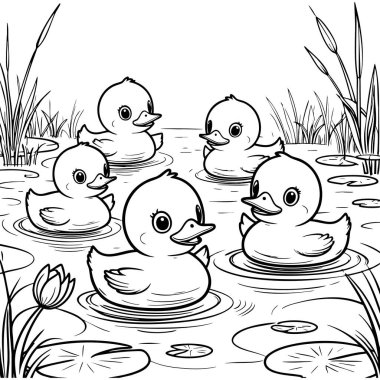 Beş ördek yavrusu boyamak için havuzda birlikte yüzüyor.
