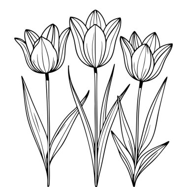 Uzun saplı zarif lale çiçekleri renk etkinliği için basit tasarım.