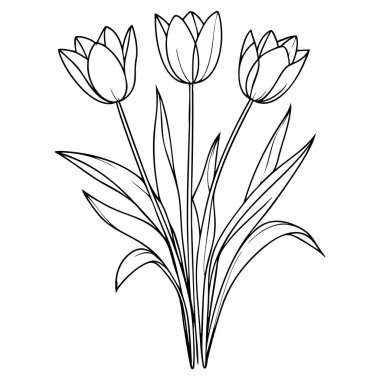 Uzun saplı zarif lale çiçekleri çocuk boyama aktiviteleri için basit bir taslak oluşturur.