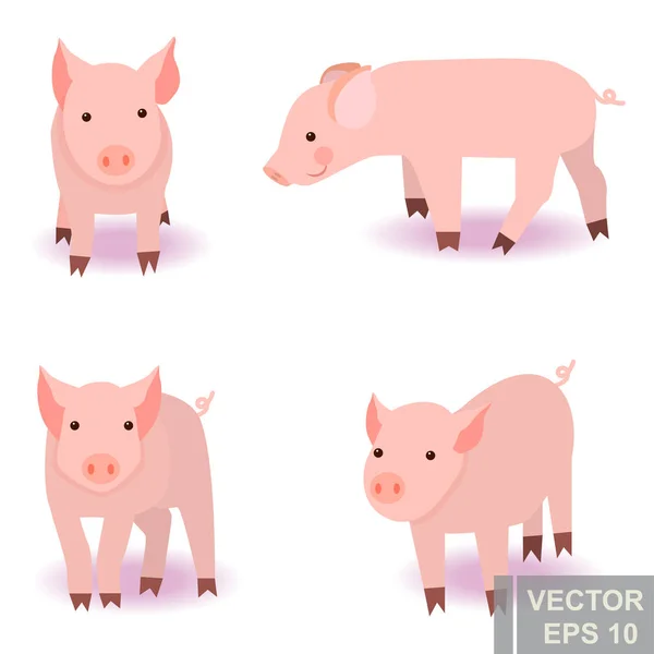 Schwein. Tiere für Ihr Design. gesetzt. Zeichentrickfigur. hell. — Stockvektor
