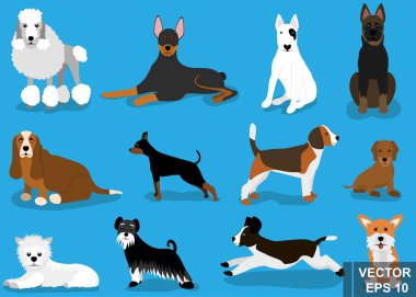 Seth dogs Flat style. Breed. Trained. For your design. clipart