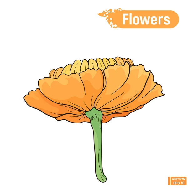 Floraison abstraite fleur orange — Image vectorielle