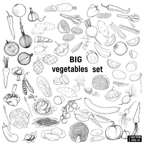 Stora set grönsaker, Doodle. — Stock vektor