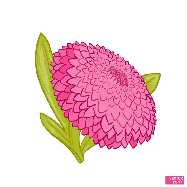粉红花的花 — 图库矢量图片