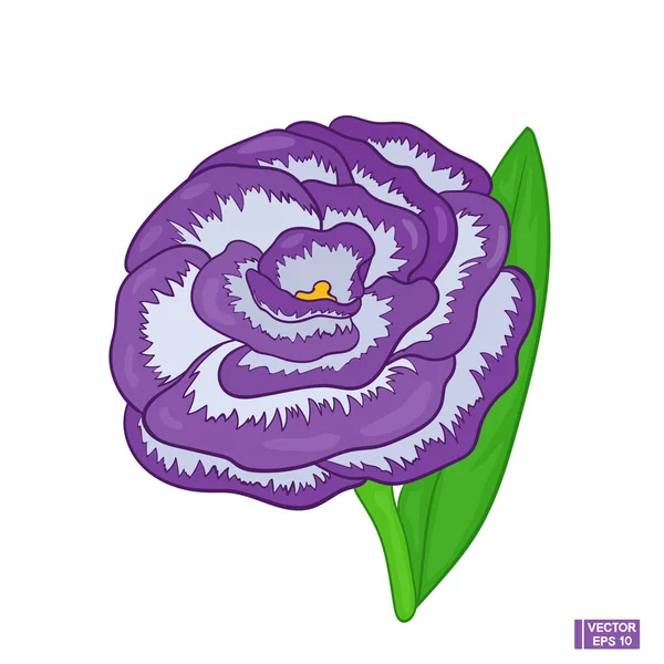 Paarse bloem is Eustoma — Stockvector