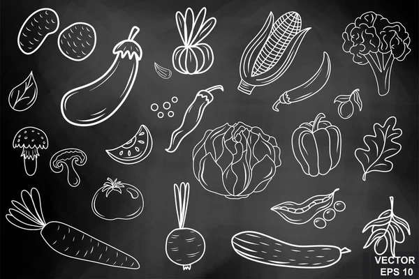 Liitutaulu. Käsi piirustus. Vihanneksia. Valmiina. Suunnitteluasi varten. Terveellinen syöminen — vektorikuva