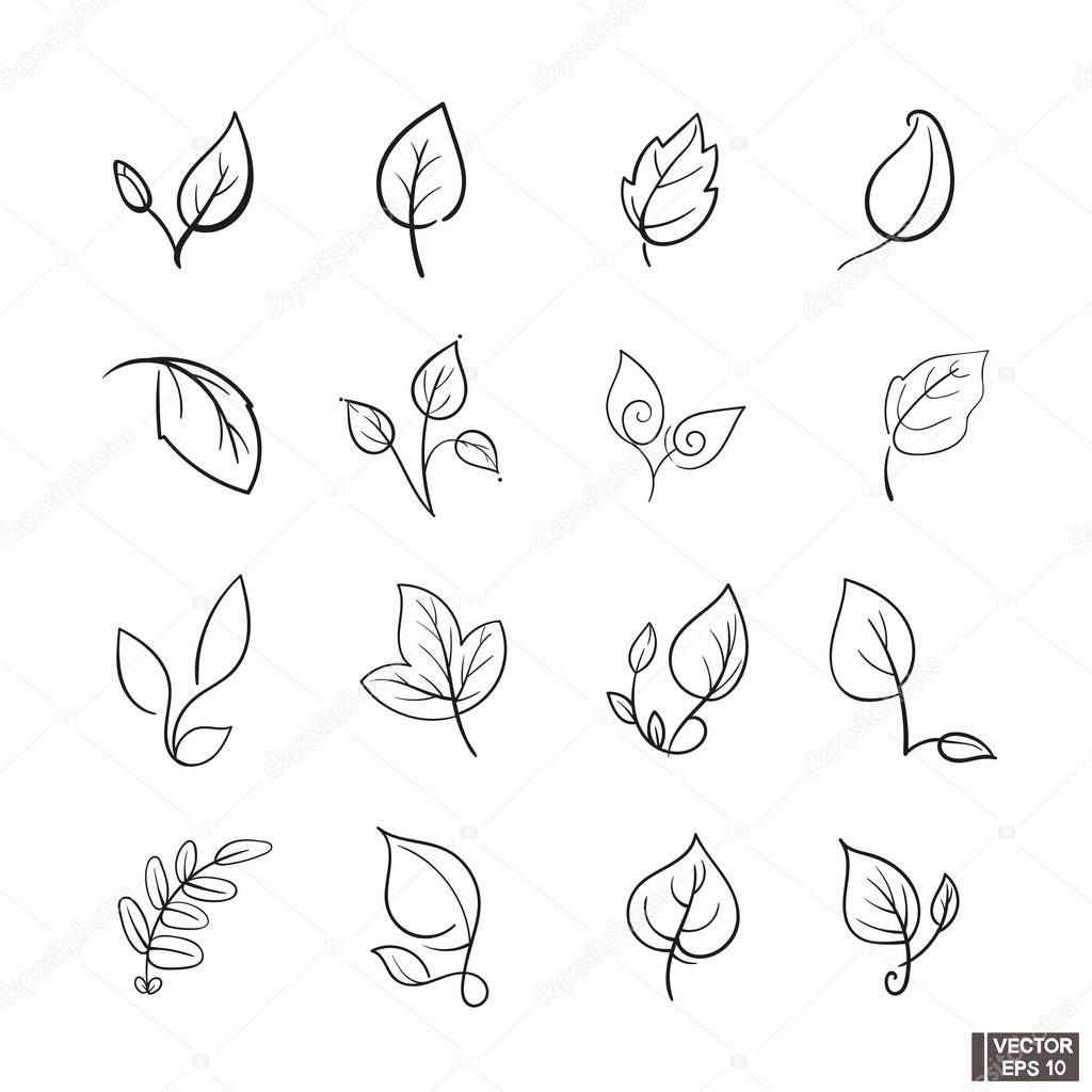 Set of linear leaves icons. Nature and ecology outline drawing.