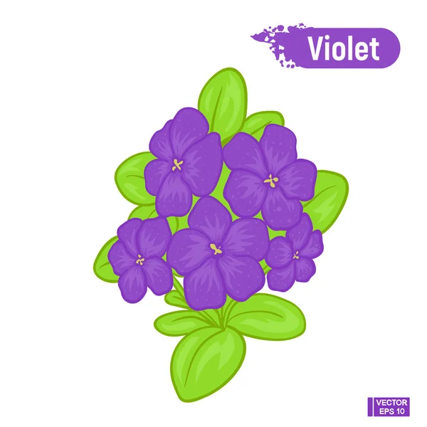 Цветущий фиолетовый цветок — стоковый вектор