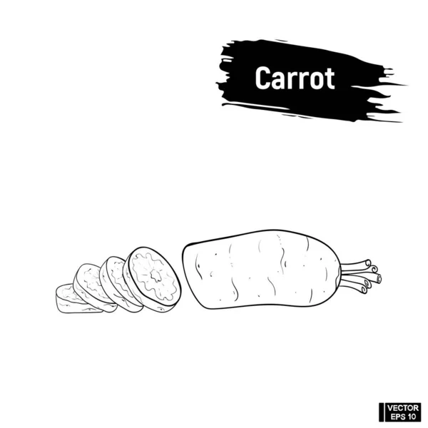 Рисунок моркови — стоковый вектор