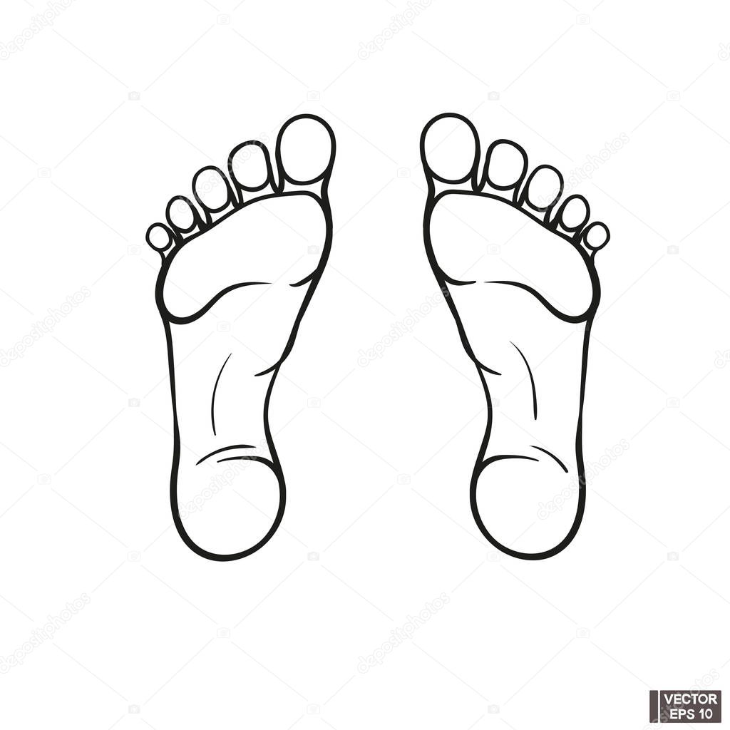 pic Outline Foot Print Drawing vector image left and right human foot