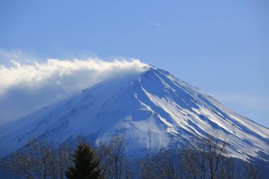 Sis ile Fuji Dağı