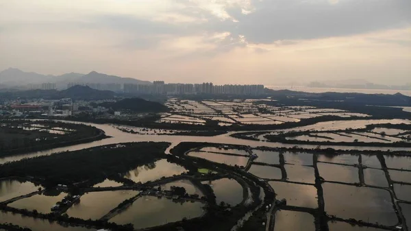 Cielo Coperto Con Stagno Pesci Hong Kong Yuen Lungo Tai — Foto Stock