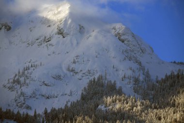 Avusturya 'da kar yağışı