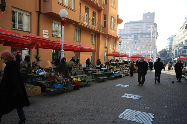 Zagreb Croatie Février 2019 Marché Dolac Zagreb Des Marchés Locaux — Photo