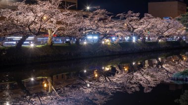 Hirosaki parkının etrafındaki gölet ve nehrin yansıması, Hirosaki Kiraz Çiçeği Festivali sırasındaki sakura ağacı.
