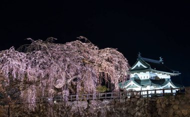 Hirosaki parkının etrafındaki gölet ve nehrin yansıması Hirosaki Kiraz Çiçeği Festivali sırasındaki sakura ağacı.