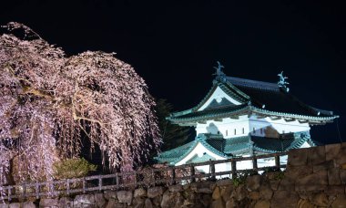 Hirosaki parkının etrafındaki gölet ve nehrin yansıması Hirosaki Kiraz Çiçeği Festivali sırasındaki sakura ağacı.