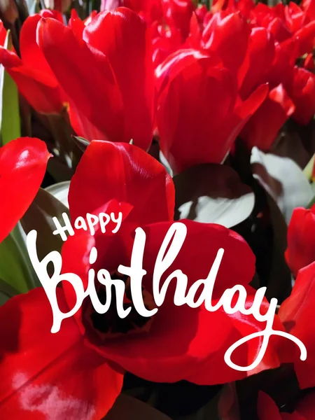 Buon compleanno biglietto di auguri verticale. Tulipani color vino e frase di saluto scritta a mano — Foto Stock