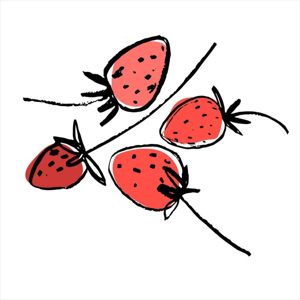 草莓手绘病媒图解，用于教学援助、价格标签、水果商店和农产品市场促销 — 图库矢量图片
