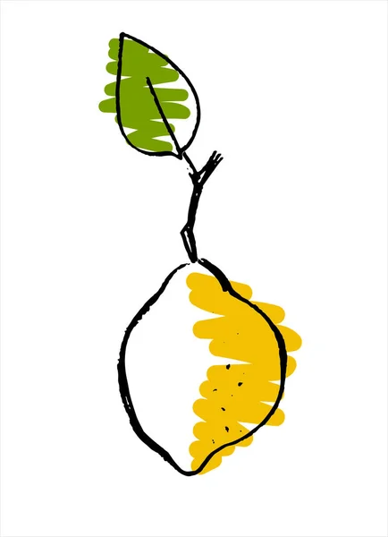 レモン。果物店、レストラン、農業市場のプロモーションのための手描きベクトルイラスト — ストックベクタ