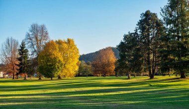 bir yeşil golf alanı ve sonbaharda mavi gökyüzü