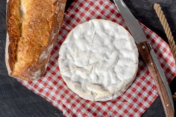 Queijo Camembert Tradicional Normandia Francesa Produto Lácteos — Fotografia de Stock