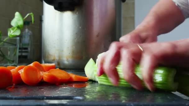 Mulher Cortando Legumes Para Jantar — Vídeo de Stock