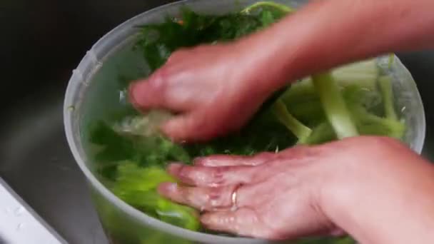 Une Femme Lavant Des Légumes Pour Cuisiner — Video