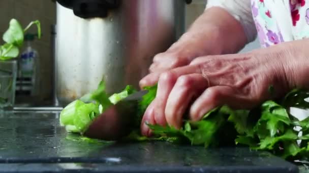 Egy Zöldségeket Vág Vacsorára — Stock videók
