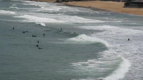 Surfistas Las Olas Playa Biarritz Francia — Vídeo de stock