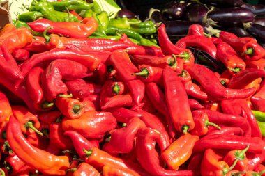 beauiful kırmızı biber piyasada