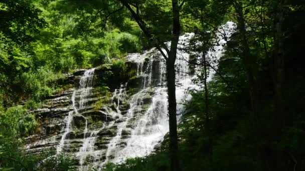 Kleiner Fluss Wald Berg — Stockvideo