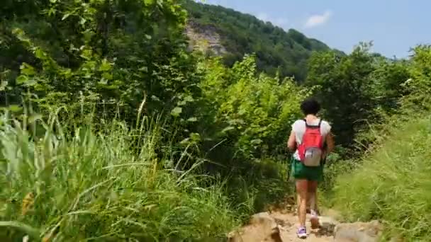 登山道の上を歩く女性ハイカー — ストック動画