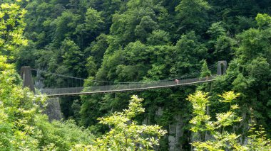 the Holtzarte suspension bridge, Aquitaine, France clipart