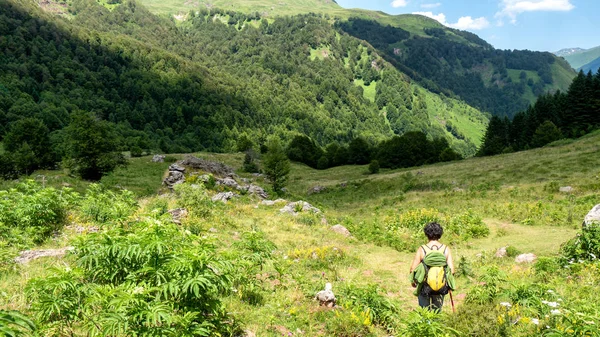 Kvinna Vandrare Skogsstig Pyrenéerna — Stockfoto