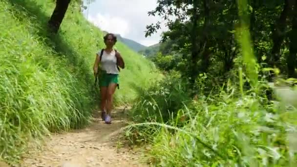 登山道の上を歩く女性ハイカー — ストック動画