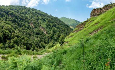 mavi gökyüzü ile yeşil dağ manzarası