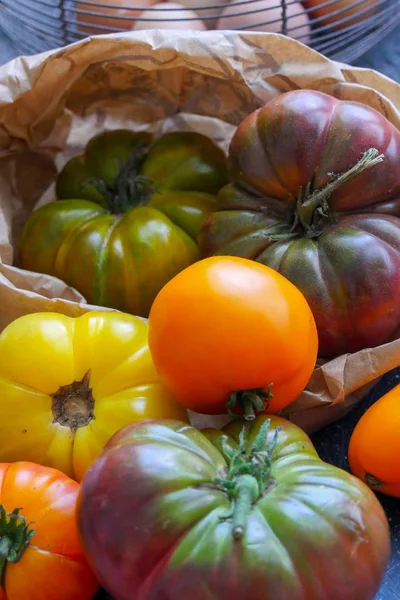 Verschillende Rustieke Tomaten Uit Tuin — Stockfoto