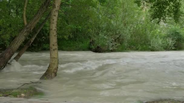 Blick Auf Einen Überfluteten Fluss Mit Schlammigem Wasser — Stockvideo