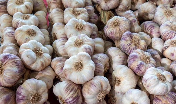 Högen Ekologisk Vitlök Marknaden — Stockfoto