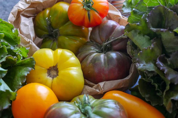 Verschillende Rustieke Tomaten Uit Tuin — Stockfoto