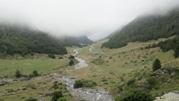Kleiner Fluss Den Pyrenäen Der Berge — Stockvideo