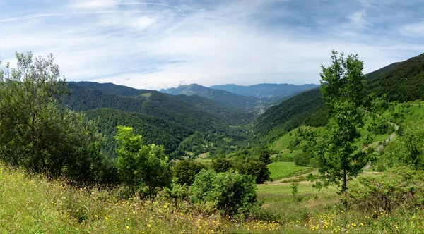 Uma Paisagem Verde Nas Montanhas Pirinéus Franceses — Fotografia de Stock