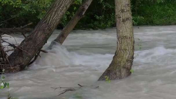 Blick Auf Einen Überfluteten Fluss Mit Schlammigem Wasser — Stockvideo