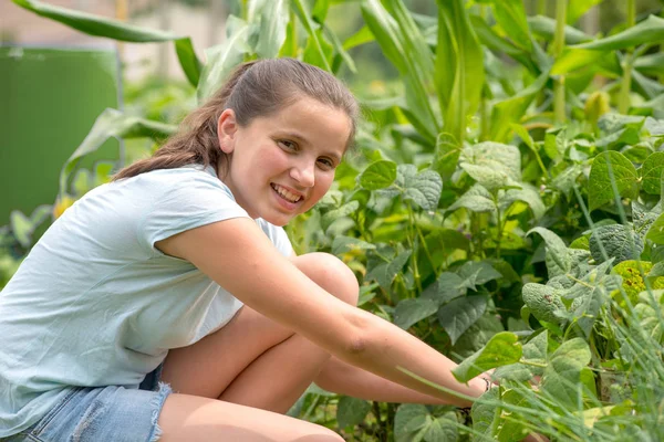 Uśmiechnięte Dziewczyny Młodych Pracy Ogrodzie Kuchnia — Zdjęcie stockowe